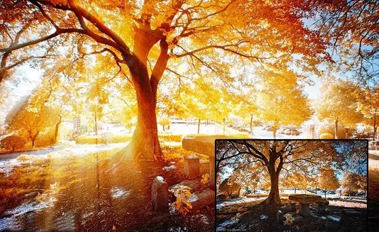 PS 丁达尔光效插件破解版 支持 win/Mac PS 丁达尔光效插件破解版 支持 win/Mac