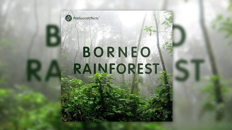 121 种雨水鸟兽动物昆虫自然环境无损音效 121 种雨水鸟兽动物昆虫自然环境无损音效