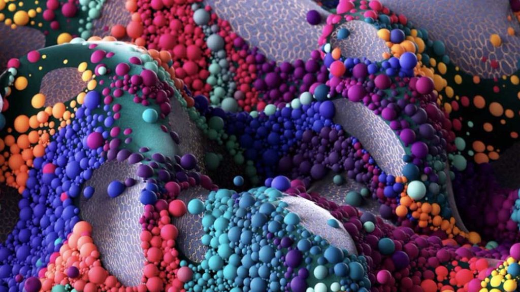 最新 C4D2026 安装包下载 最新 C4D2026 安装包下载