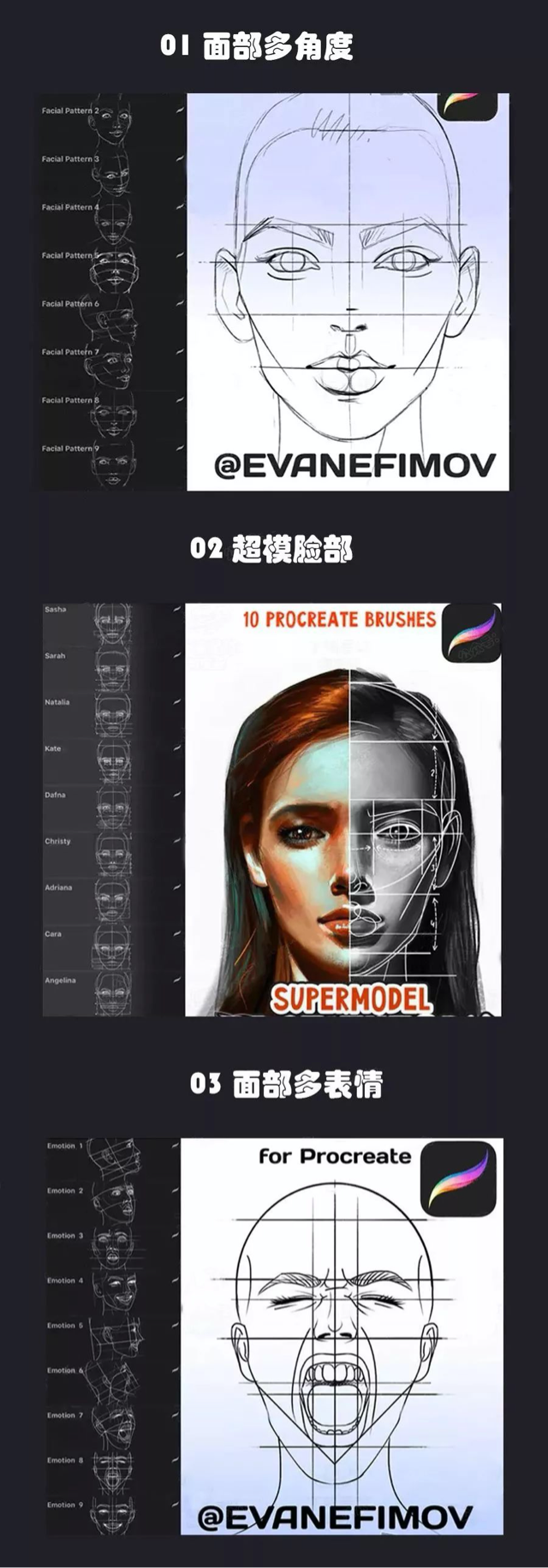 Procreate 笔刷 最强人像辅助线神器 Procreate 笔刷 最强人像辅助线神器