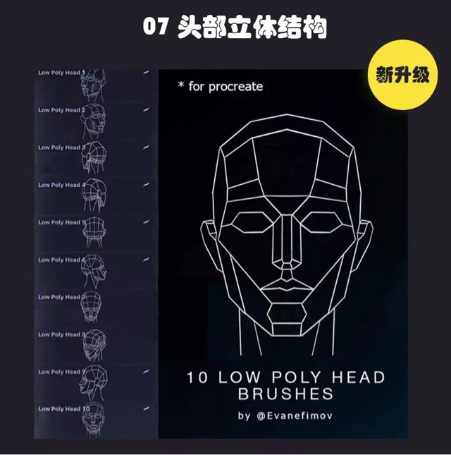 Procreate 笔刷 最强人像辅助线神器 Procreate 笔刷 最强人像辅助线神器