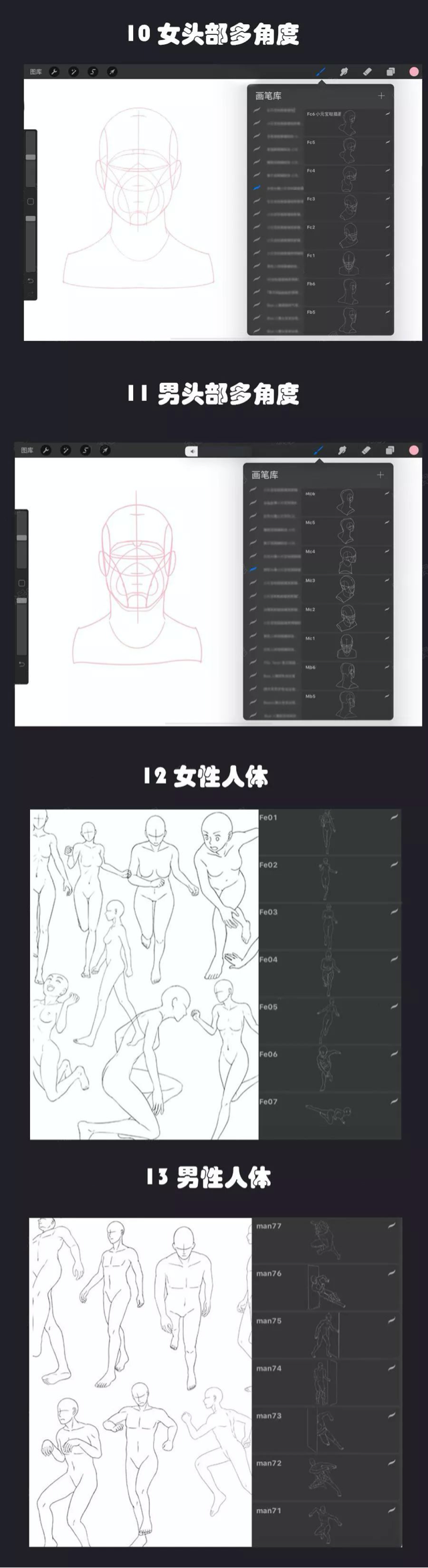 Procreate 笔刷 最强人像辅助线神器 Procreate 笔刷 最强人像辅助线神器